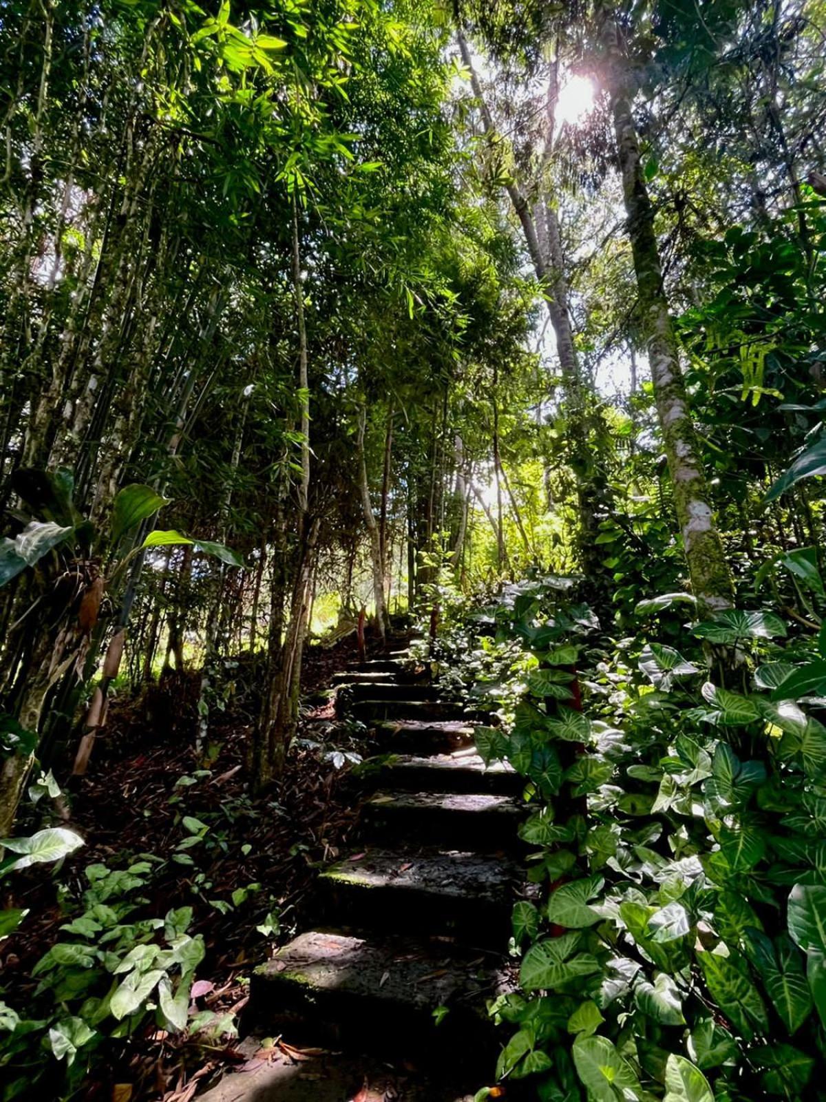 Villa Refugio De Orquideas Oxapampa Exterior foto