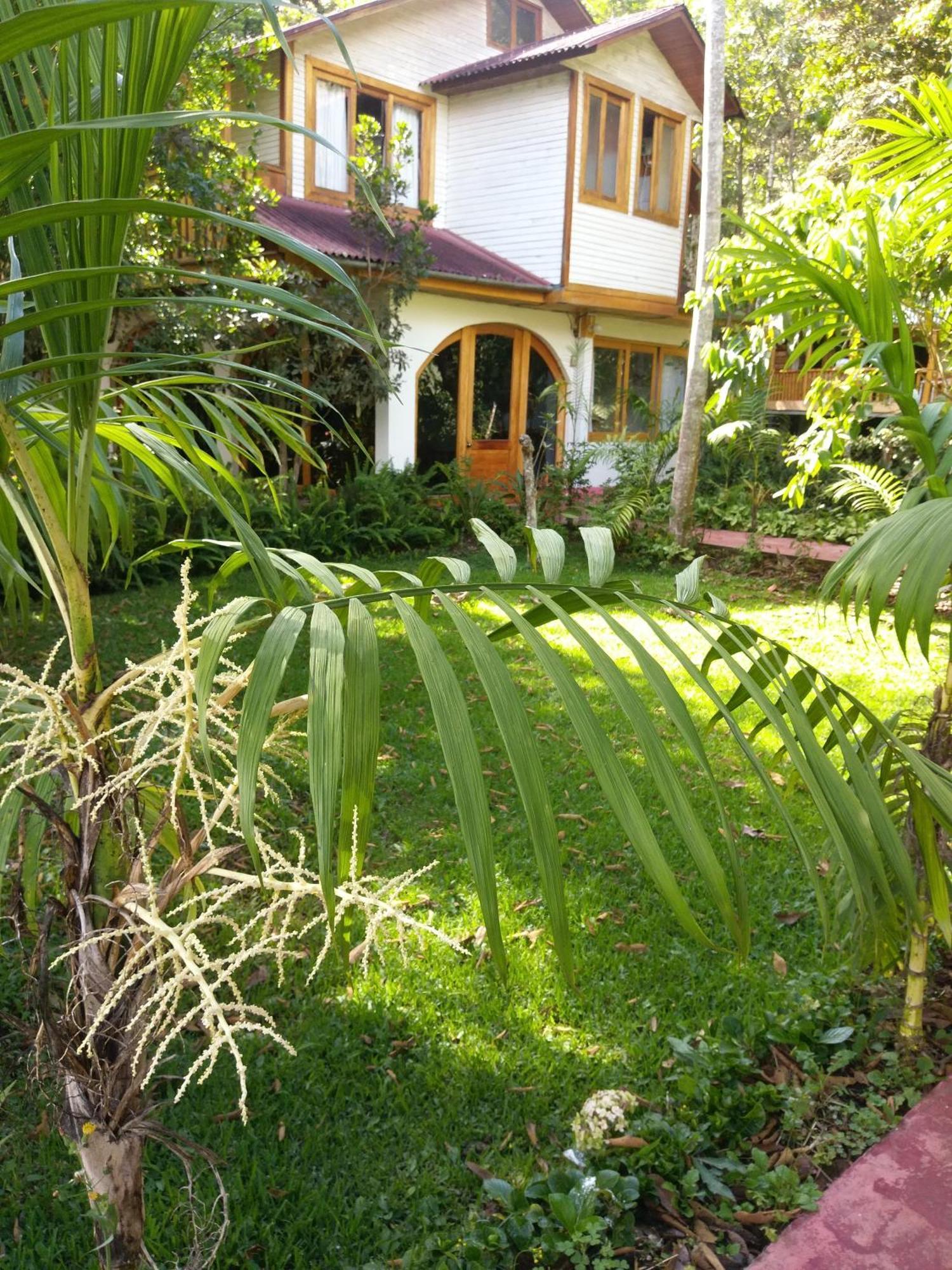Villa Refugio De Orquideas Oxapampa Exterior foto