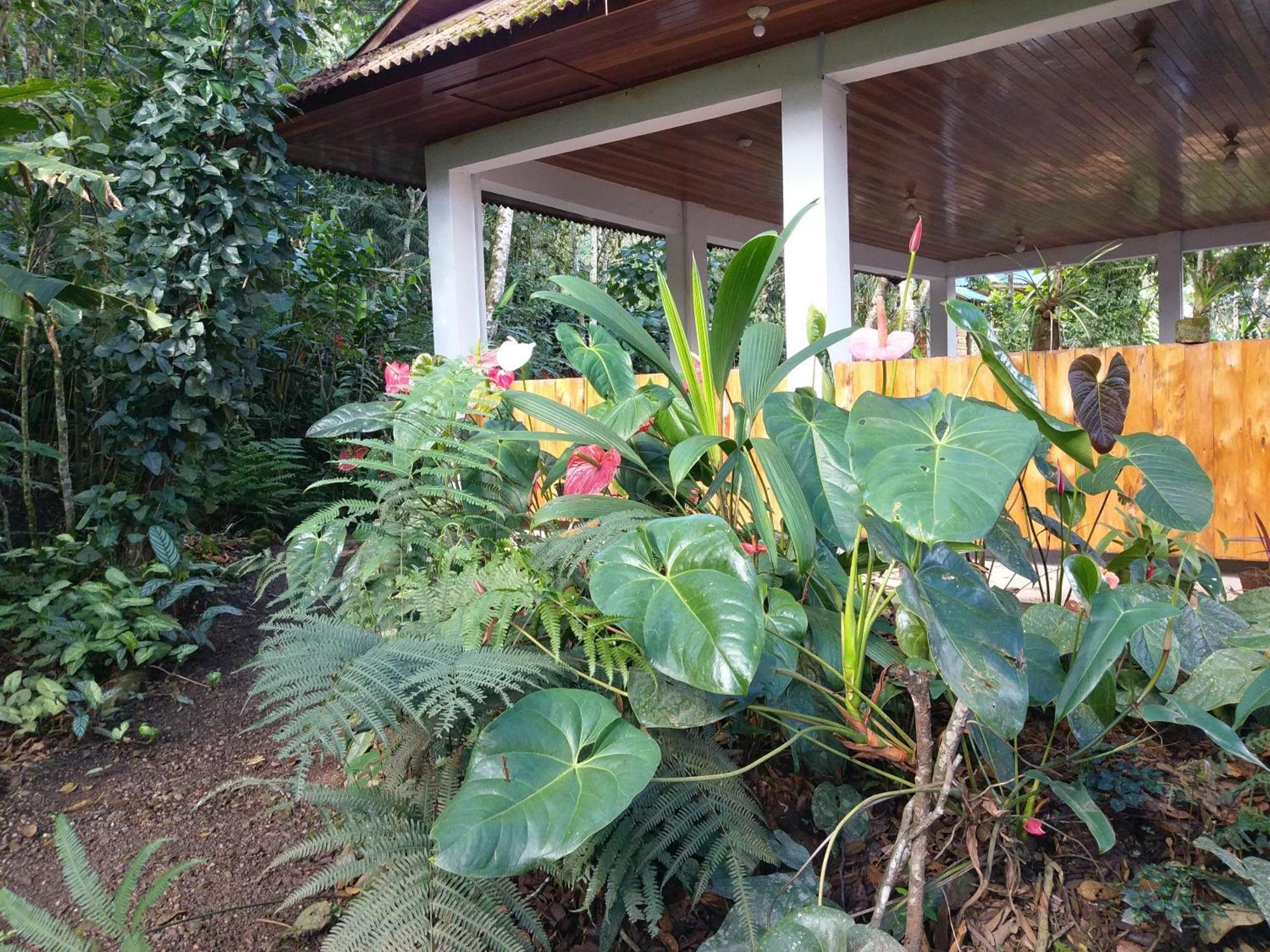 Villa Refugio De Orquideas Oxapampa Exterior foto