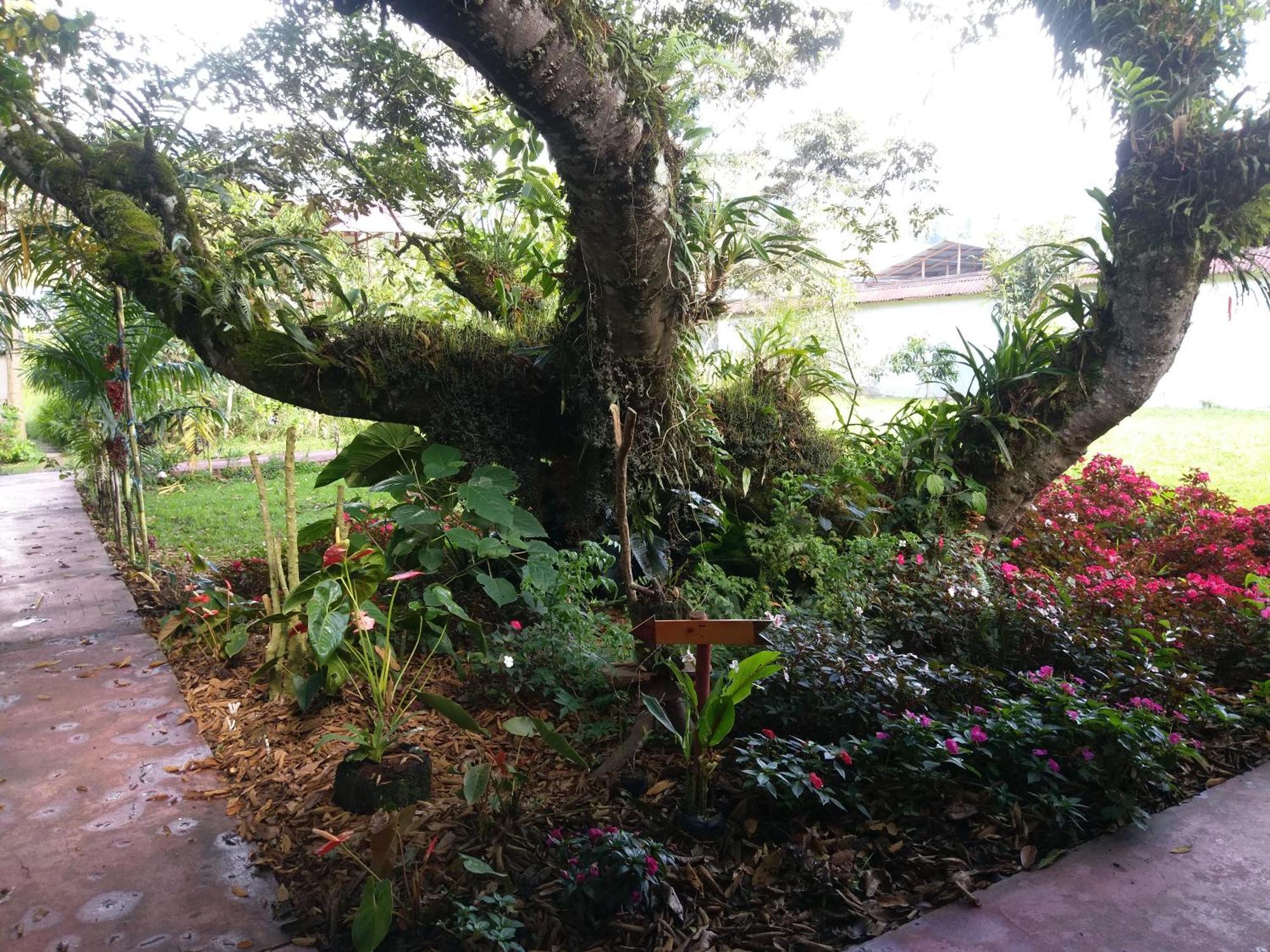 Villa Refugio De Orquideas Oxapampa Exterior foto