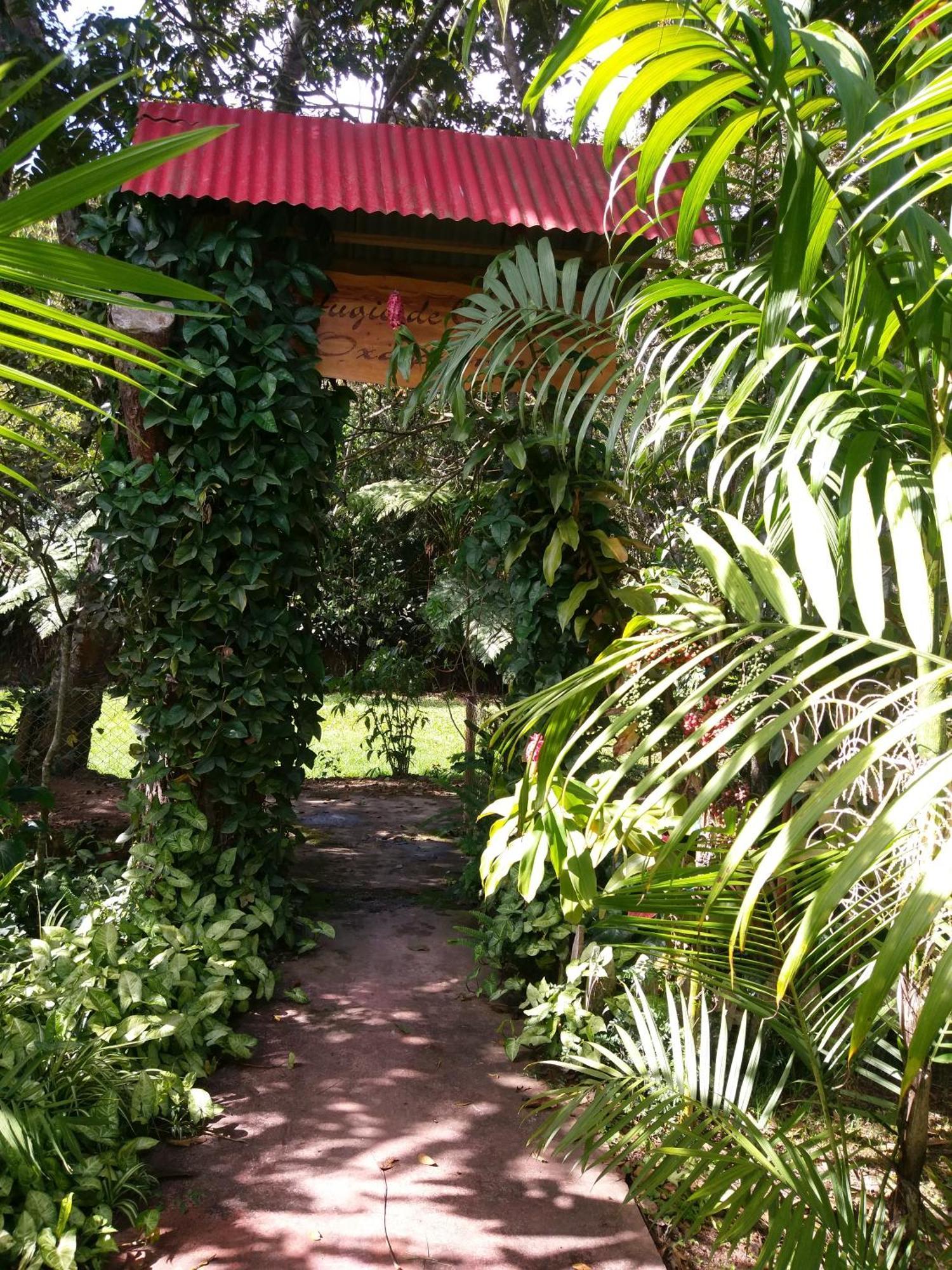 Villa Refugio De Orquideas Oxapampa Exterior foto