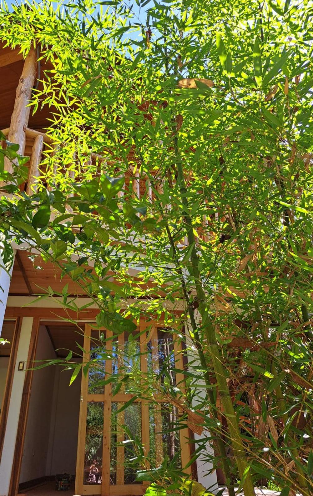 Villa Refugio De Orquideas Oxapampa Exterior foto