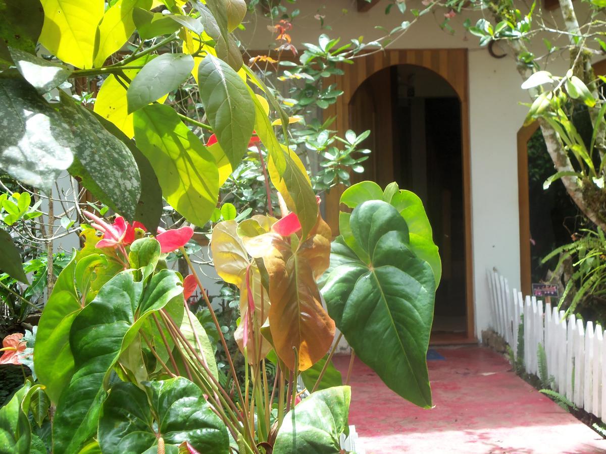 Villa Refugio De Orquideas Oxapampa Exterior foto